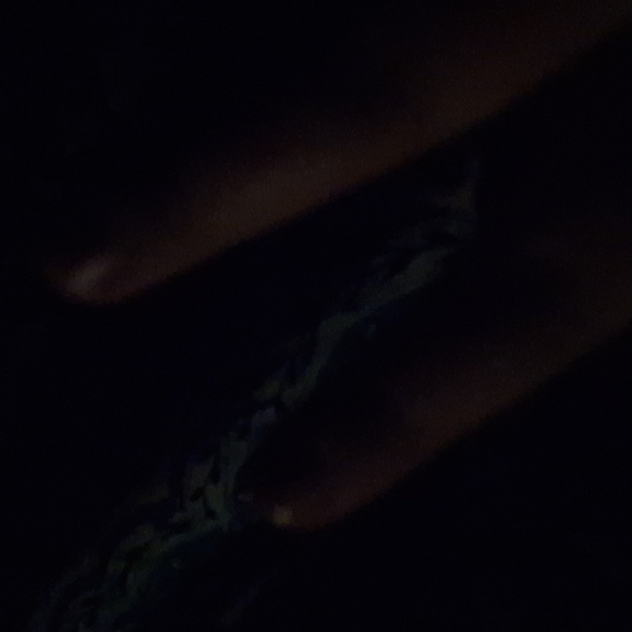 Blanket - Picture 1 of 1